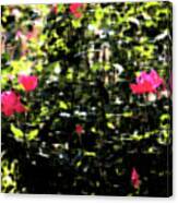 Budding Pink Flowers - Impressionism Canvas Print