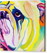 Bulldog - Bully Canvas Print
