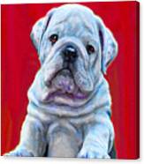 Bulldog Puppy On Red Canvas Print