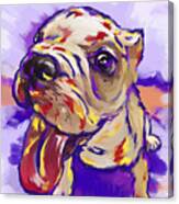 Bulldog Puppy Canvas Print