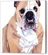 Bulldog Watercolor Canvas Print