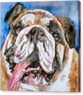Bulldog - Watercolor Portrait.3 Canvas Print