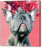 Bulldog With Flowers Canvas Print