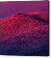 Burke Alpenglow Canvas Print