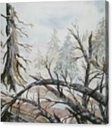 Burned Forest In The Snow Canvas Print