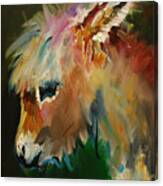 Burro Donkey Canvas Print