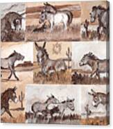 Burros Of The South West Sampler Canvas Print