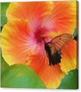 Butterfly Botanical Canvas Print