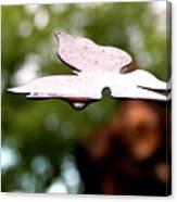 Butterfly Tears Canvas Print