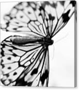 Butterfly Wings 4 - Black And White Canvas Print