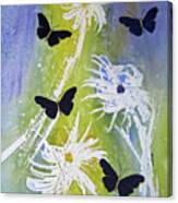 Butteryfly Flutter Canvas Print