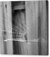 Bw Spiderweb Canvas Print