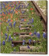 By The Tracks Canvas Print