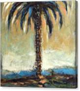 Cabbage Palm Antiqued Canvas Print