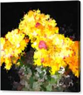 Cactus Flowers Canvas Print