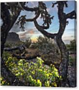Cactus Framed Sunset Vertical Canvas Print