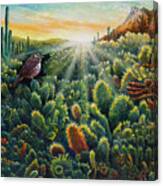 Cactus Wren Canvas Print