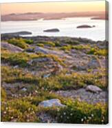 Cadillac Mountain View Canvas Print