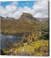 Cajas Park And The Andes Canvas Print