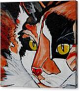 Calico Close Up Of Face Canvas Print