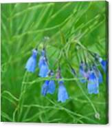 Can You Hear The Blue Bells Canvas Print