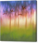 Canada Geese - Flight - Sunset Canvas Print