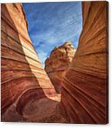 Canyon Atthe Wave Canvas Print