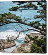 Cape Arago Scenic View Canvas Print