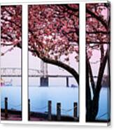 Cape Fear River Bridge Triptych Canvas Print