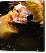 Capybara 1 Canvas Print