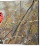 Cardinal And Spring Buds Canvas Print