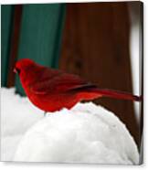 Cardinal In Snow Ii Canvas Print