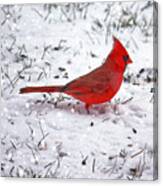 Cardinal In The Snow Canvas Print