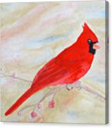 Cardinal Watching Canvas Print