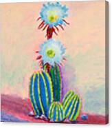 Carefree Cactus 16 X 20 Canvas Print