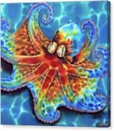 Caribbean Octopus Canvas Print