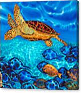Caribbean Sea  Turtle And Reef  Fish Canvas Print