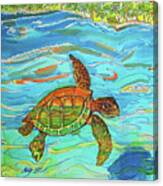 Caribbean Sea Turtle Canvas Print