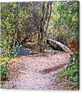 Carmel River Footbridge At Garland Ranch Oil Canvas Print