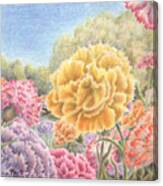 Carnations Galore Canvas Print