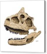 Carnotaurus Skull Canvas Print