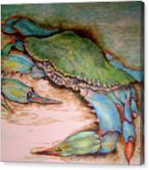 Carolina Blue Crab Canvas Print