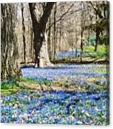 Carpet Of Blue Canvas Print