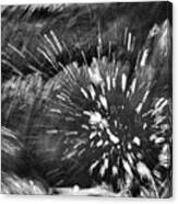 Cascade Abstract - Black And White Canvas Print