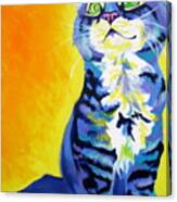 Cat - Here Kitty Kitty Canvas Print