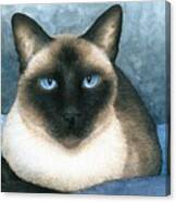 Cat 547 Siamese Canvas Print