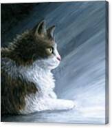 Cat 594 Canvas Print