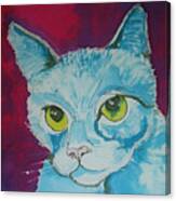 Cat Ba Lue Canvas Print