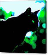 Cat Bathed In Green Light Canvas Print