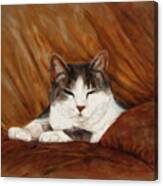 Cat Nap Canvas Print